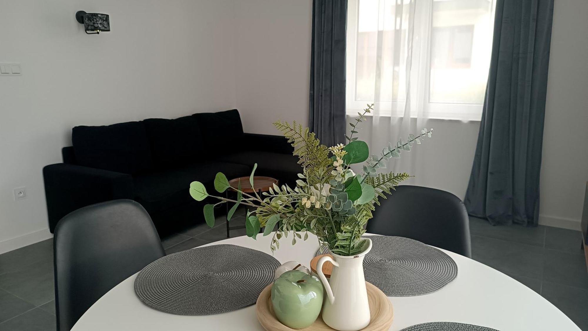 Apartament Sady 布斯克·兹德鲁伊 外观 照片